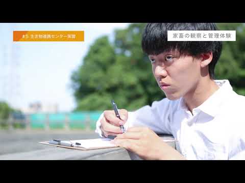 #5 生き物連携センター実習
