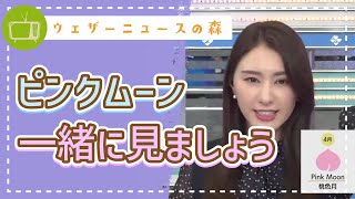 4月の満月ピンクムーンをみんなで一緒に見ましょう【白井ゆかり】【切り抜き】ウェザーニュースの森【ウェザ森】