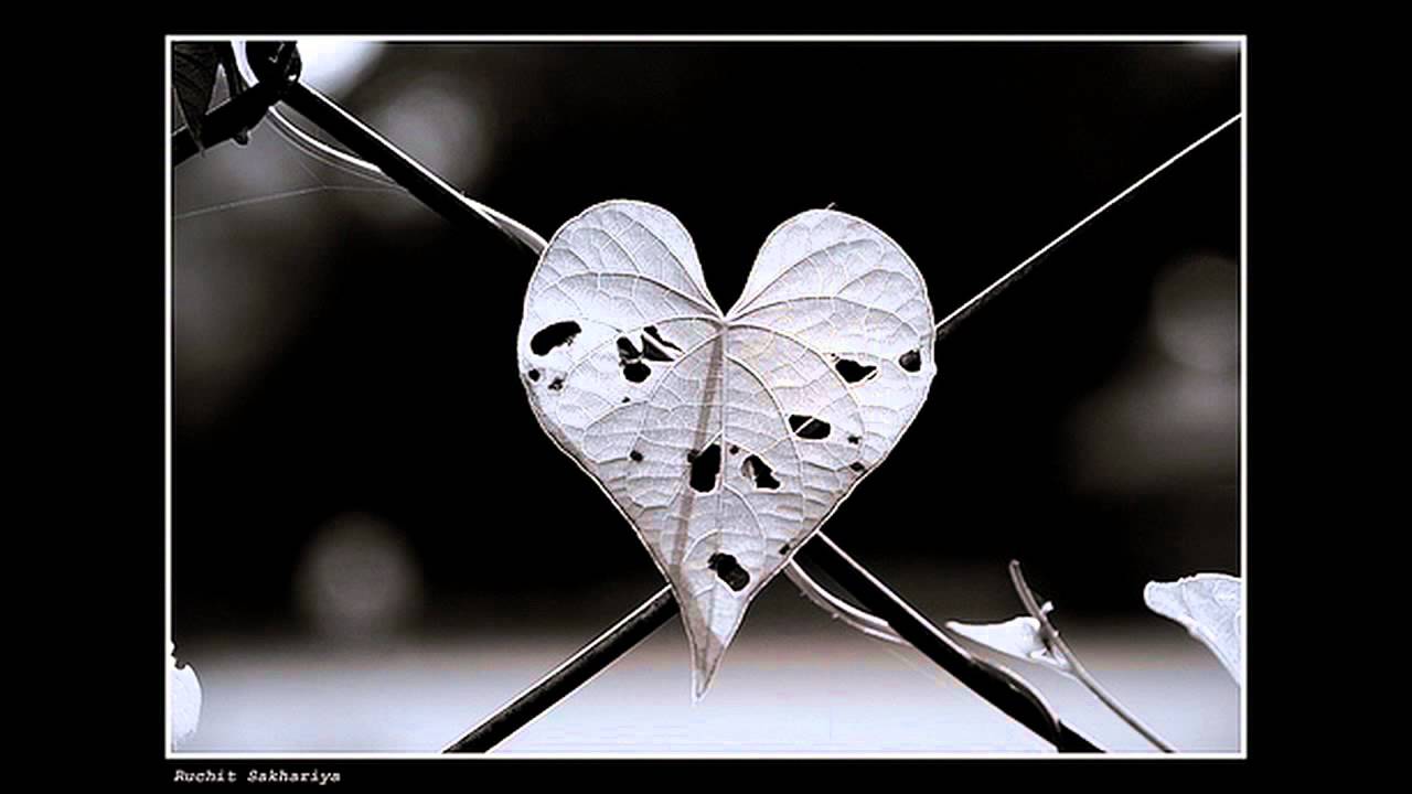 Tere Bin Koi Bhi Pal Lyrics  | Pyaar Kiya Nahin Jaata.. | Usha Bachani, Sonali Bendre | Atul Kale | Milind Sagar