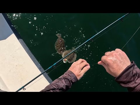 South Shore Long Island Ocean Fluke Fishing – 3 Keepers, 70+ Fish
