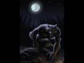 Schweisser - Wolfen 