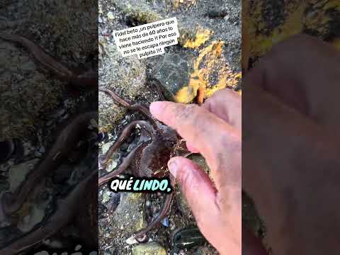 Uno de los mejores pulperos de san Antonio oeste Río Negro!!