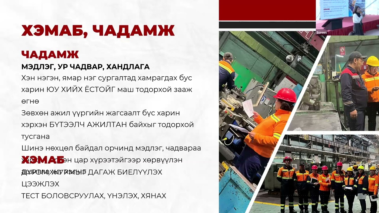 Ажилтны ХЭМАБ-ын чадамжийн үнэлгээ. Туршлага