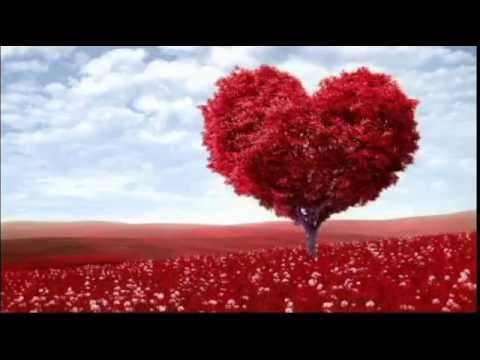 Dubvision vs Galantis - Heart Has No Money (David Venegas Mash-Up)