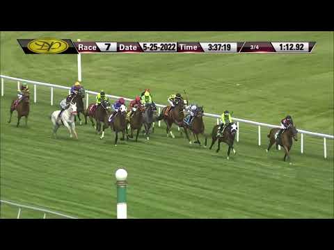 RACE 7 MASTER 2022 05  25