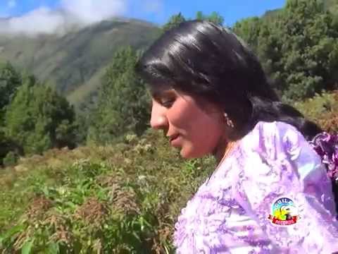 los traficos del amor - maldito amor