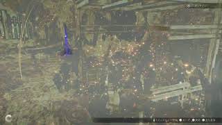 kyojiのﾜﾁｬﾜﾁｬ【仁王3　慶安地獄変】2026.08.29