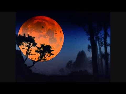 Yar Zaa - Live - RITUAL Festival 2015