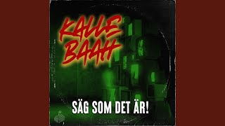 Säg Som Det Är