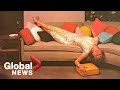 The Obsession With Mid Century Furniture Design Explained