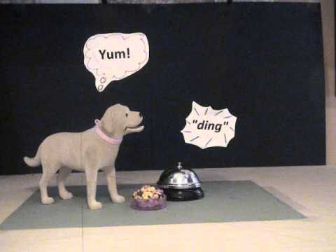 Pavlov's Dog for the classroom (claymation)