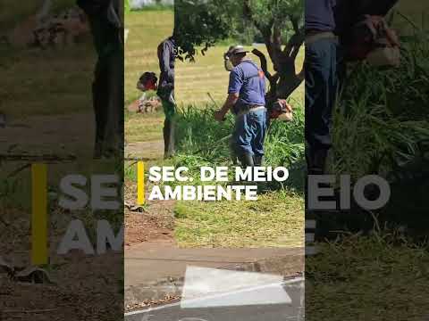 MUTIRÃO "MÃOÀ OBRA" MONTE MOR - Jardim Paulista em Monte Mor é completado com mutirão de zeladoria
