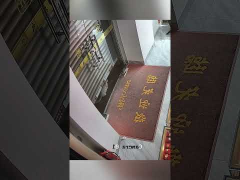 Kediyi SON ANDA Fark Ettiler❗😢