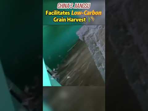 #Jiangsu da #China facilita #colheita de grãos com baixo carbono #agricultura #meio ambiente