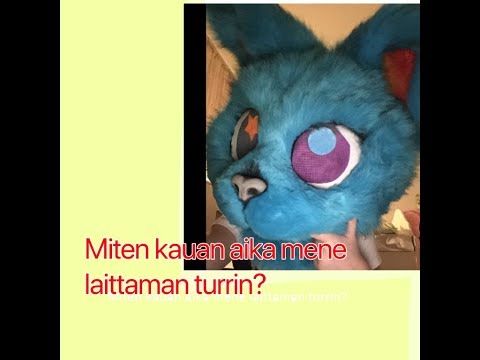 ||Miten mene kauan laittamisen turrin?||Sammi Wolf