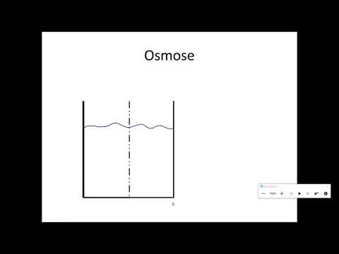 Diffusion und Osmose