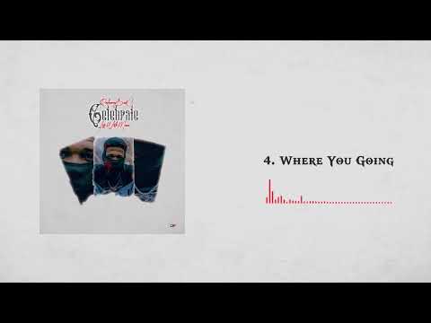 Roshawny BadG - WHERE YOU GOING (Official Audio)