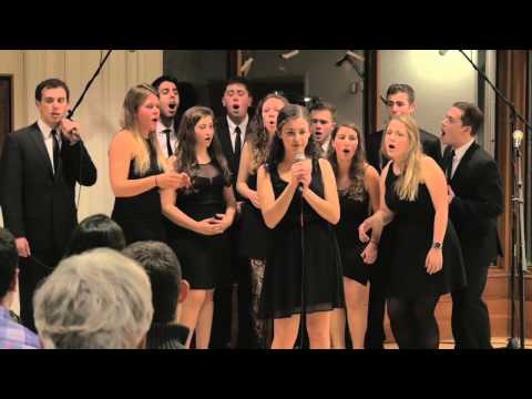 Shelcha: Shir Appeal Fall Show 2014