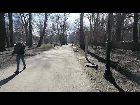 Huawei P Smart 2021 NFC Camera Video Test - HD 30FPS Sample Video (Handheld)