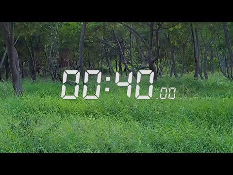 CO2 Tolerance Training - Wim Hof Alternative - 40 second breath holds