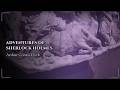 The Adventures Of Sherlock Holmes By Arthur Conan Doyle Full Audiobook For Sleep 1892