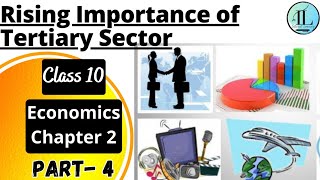 Rising Importance of Tertiary Sector | Sectors of the Indian Economy | Class 10 Economics Chapter 2