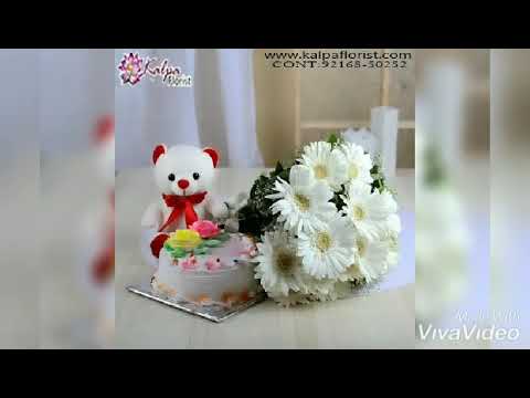 Best Birthday Gifts Online || Kalpa Florist