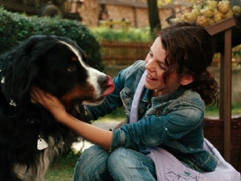 Trailer-Vorschau: Löwenzahn - Das Kinoabenteuer