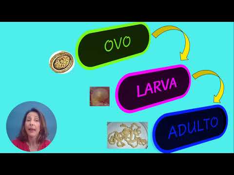 TENÍASE CISTICERCOSE