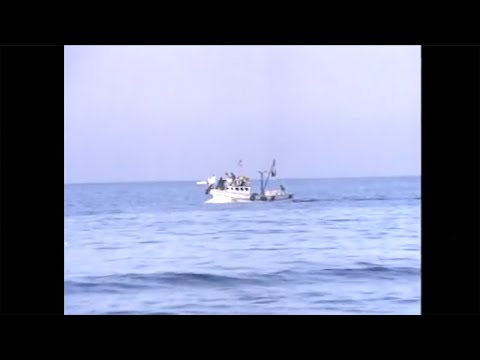 Ayberk -  Canım benim (prod by. KNYD)