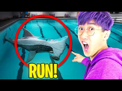 SWIMMING IN A *SHARK* FILLED POOL...!? (SHARKS AND MINNOWS Full Game)
