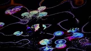 Bulgarien erhellt Schwarzmeerküste mit Festival für digitale Kunst