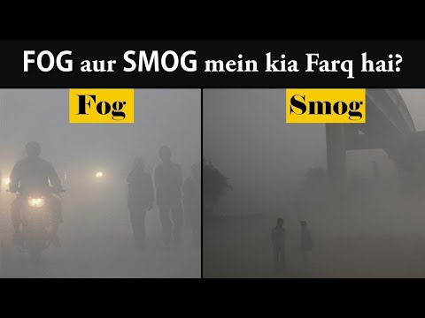 Fog Vs Smog | The Science behind
