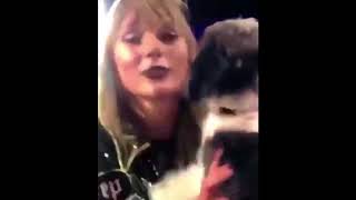 Taylor swift kissing a dog and dodging a bird Reputation Tour