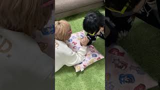 - 有名歌い手同士で腕相撲したらとんでもない事にwwwww