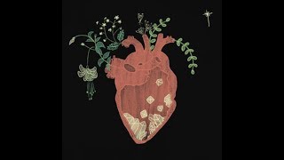 Big Open Heart