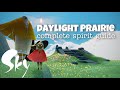 Sky Cotl - Daylight Prairie - All Spirits Complete Guide | Noob Mode