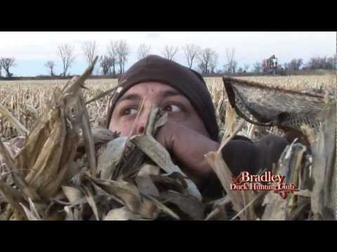Bradley Duck Hunting Club - Late Season Mallards - Part II