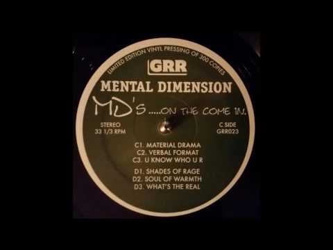 Mental Dimension - Verbal Format