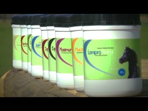 Mushrooms for Horses - CME horse feed