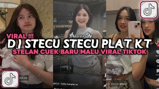 Download lagu DJ STECU STECU STELAN CUEK BARU MALU PLAT KT VIRAL TIKTOK 2025 mp3