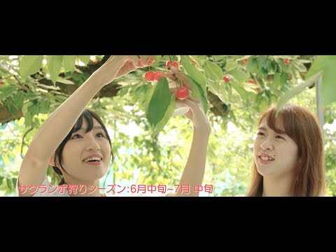 Tendo City Tourism promotion Video －Summer edition－