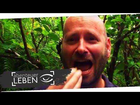 Food Finder: La Réunion - Hähnchen, Fisch und Wespen | Abenteuer Leben | kabel eins
