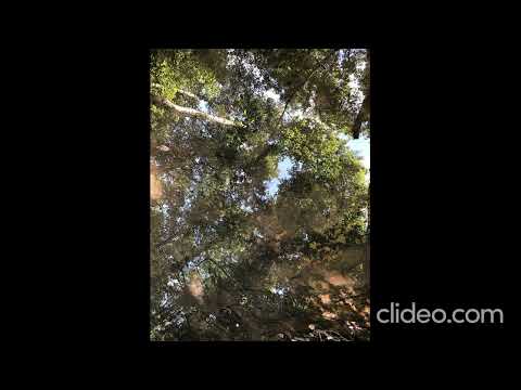 Atme den Wind (Original: Marion Schreiber)