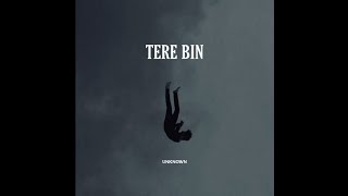 TERE BIN - UNKNOWN ( Official Audio ) SAD SONG 