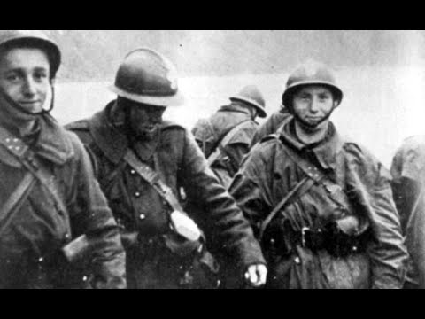 10 German Destroyers Vanished in 4 Days The WWII Fjord Trap That Changed Everything