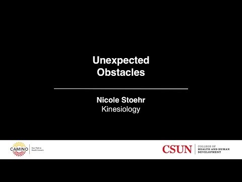Nicole Stoehr - CAMINO Thesis Talks 2019