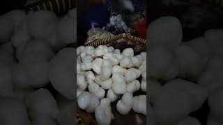 Download lagu Kuliner Tradisional Khas Kulon Progo 'Geblek' #shorts #masak #kuliner mp3