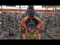 STANIMAL x SHAWN RHODEN : Triceps PSYCHO style