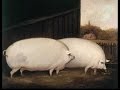 Brother May I Have Some OATS
